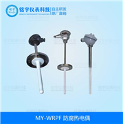 防腐熱電偶
